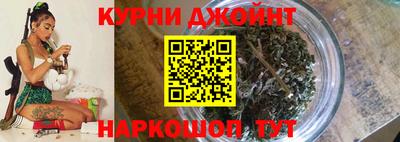 шишки Будённовск