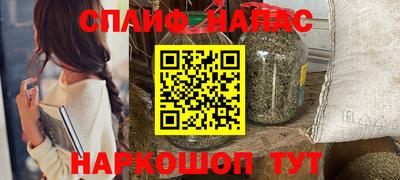 шишки Будённовск