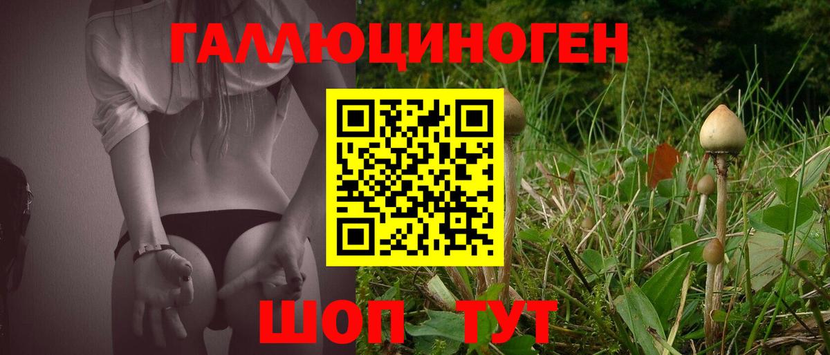 Новокубанск  Псилоцибиновые грибы ЛСД  Вход с VPN 